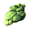 shell fragment