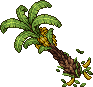 Banana Tree