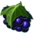 Blueberry