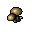 Brown Mushrooms