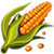 Corn
