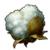 Cotton