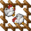 Farm Chicken