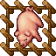 Farm Pig