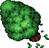 Juniper Tree