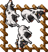 Medium Farm Cow