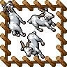 Medium Farm Goat