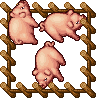 Medium Farm Pig