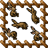 Medium Farm Rabbit