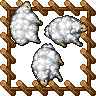 Medium Farm Sheep