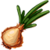 Onion
