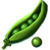 Pea