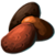 Potato