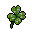 Three-Leaf Clover