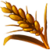Wheat