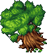Willow Tree