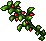 Peppers