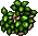 Potato